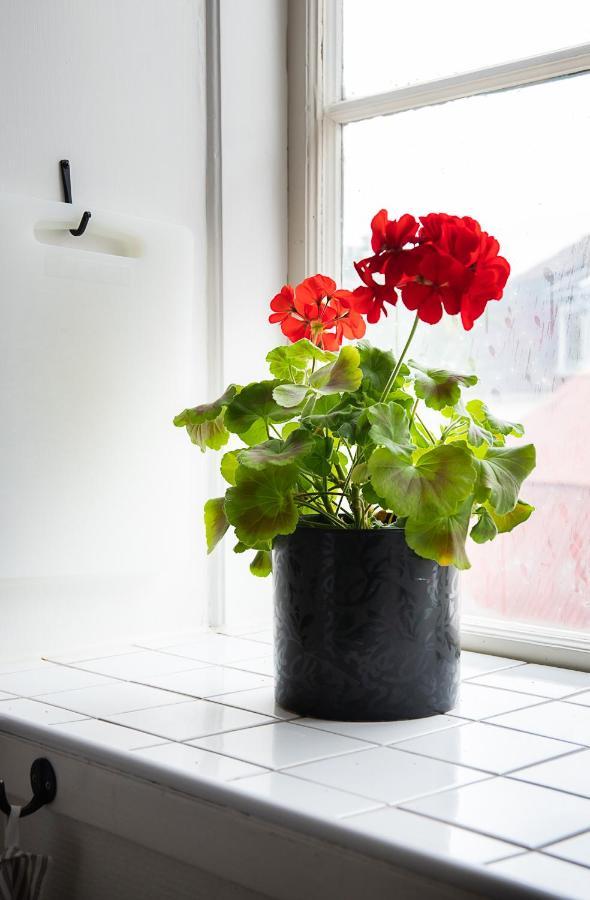 Karl-Oskars Krypin Apartment Visby Bagian luar foto